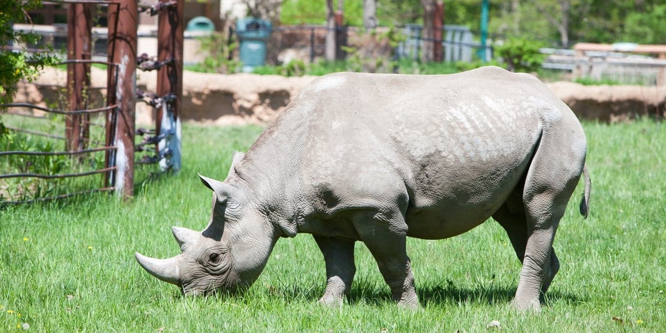 Image for Great Plains Zoo