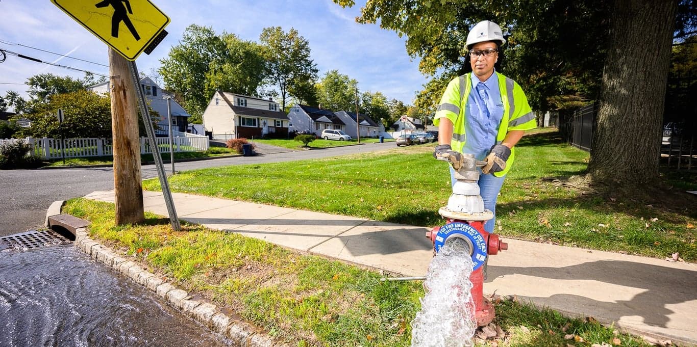 Image for New Jersey American Water 