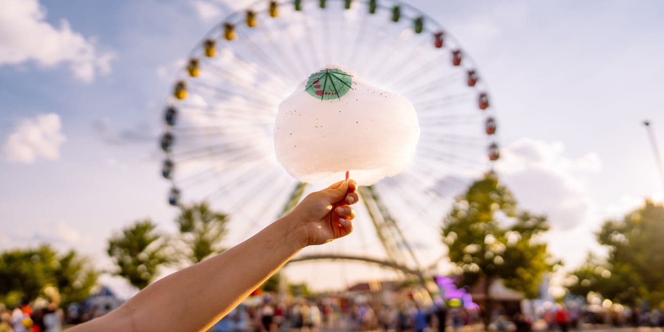 Image for Minnesota State Fair