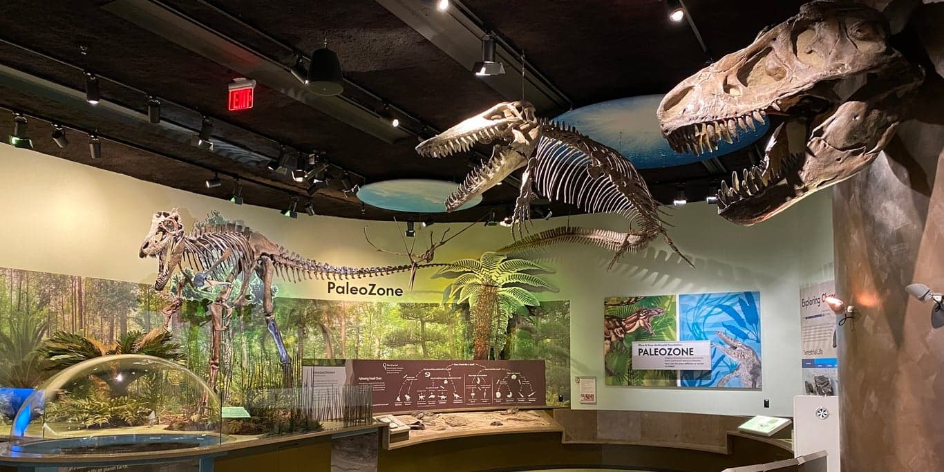 Image for Delaware Museum of Nature & Science