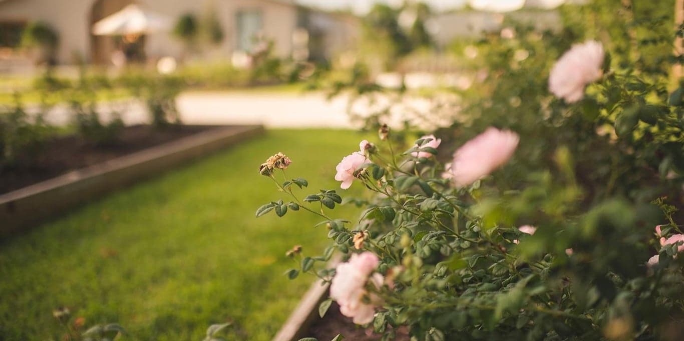 Image for White Trail Flower Farm