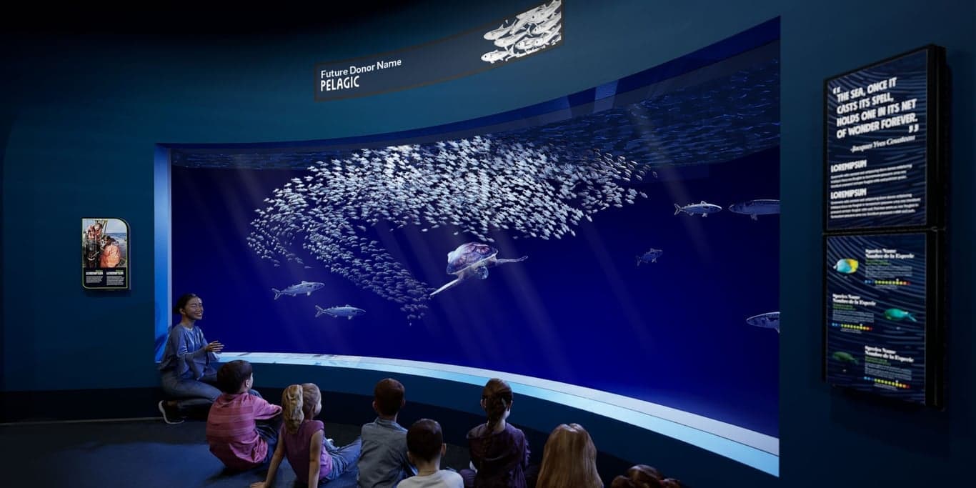 Image for Birch Aquarium