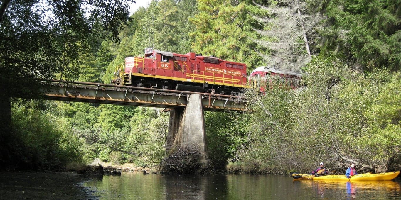 Image for Skunk Train