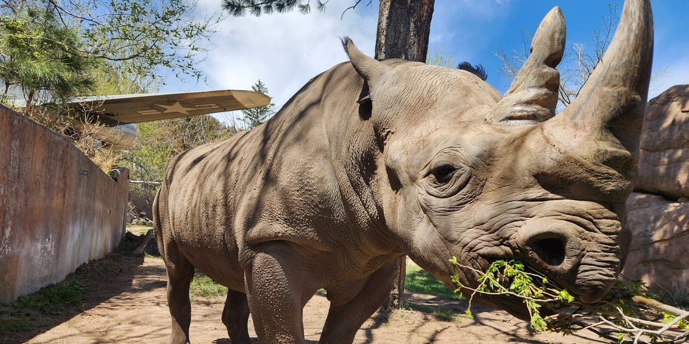 Image for Cheyenne Mountain Zoo