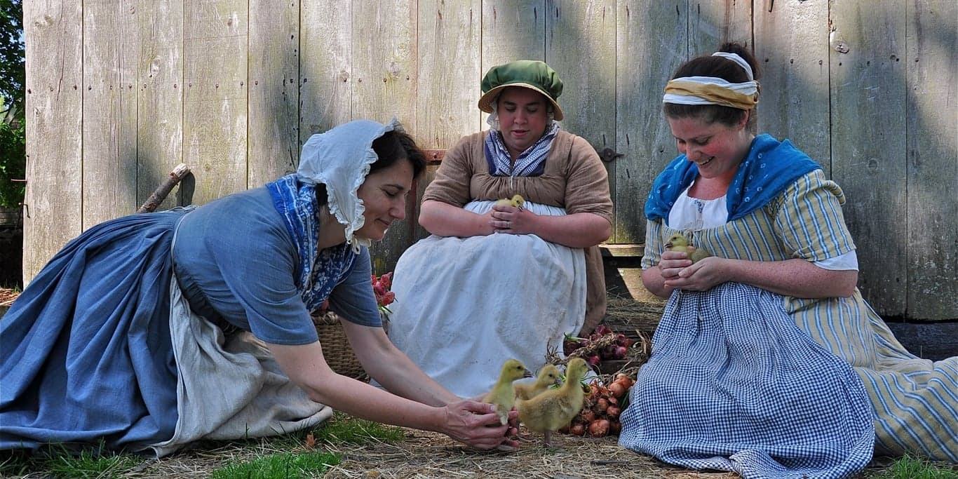 Image for Coggeshall Farm Museum